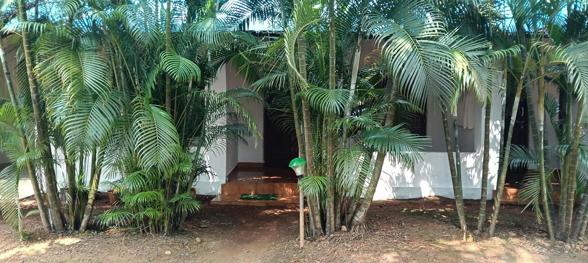 Casa Beach Hut Resort Palolem Exterior photo